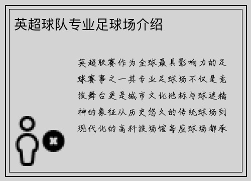 英超球队专业足球场介绍